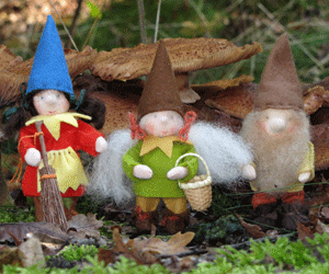 drie kabouters in het bos