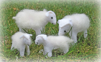 witte schaapjes